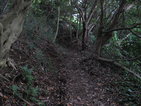 20150924hike (168)